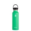 Hydro Flask 21 oz Bottle – Standard Mouth